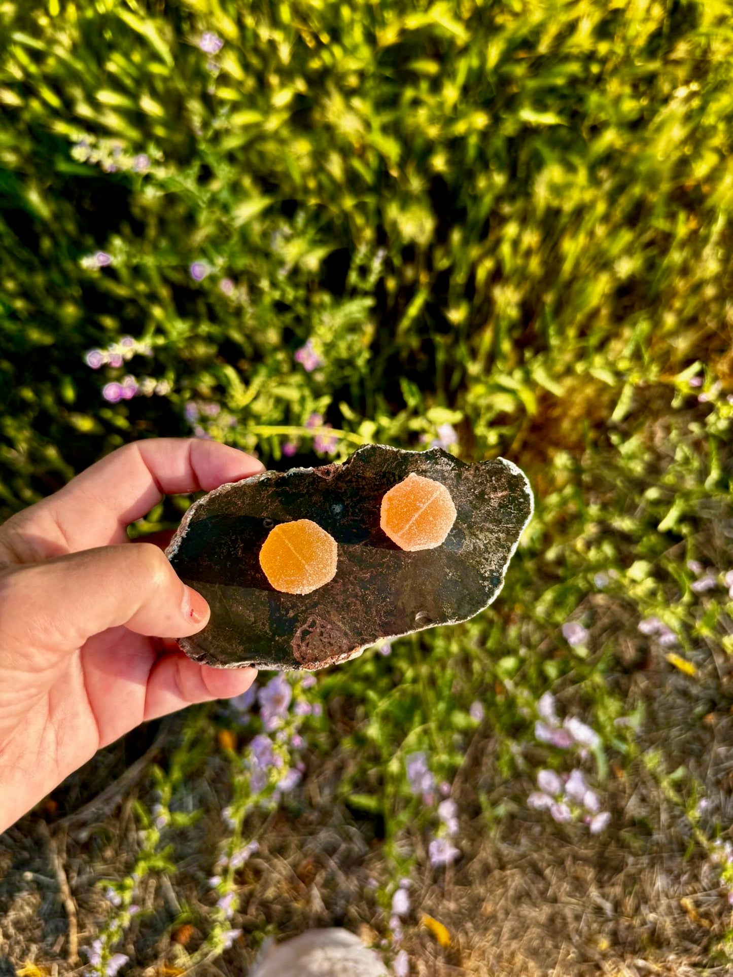 10MG THC Giddy Up Gummies in Texas Peach (SOCIAL)