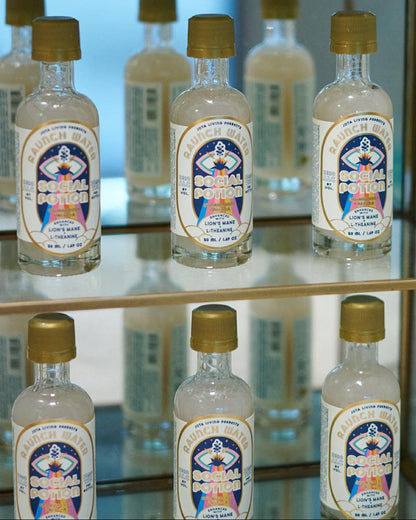 Social Potion Mini 25MG - 6 Bottles