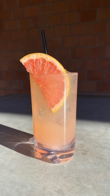 HIGH DESERT PALOMA